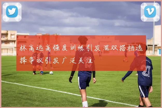 林高远高强度训练引发混双搭档选择争议引发广泛关注